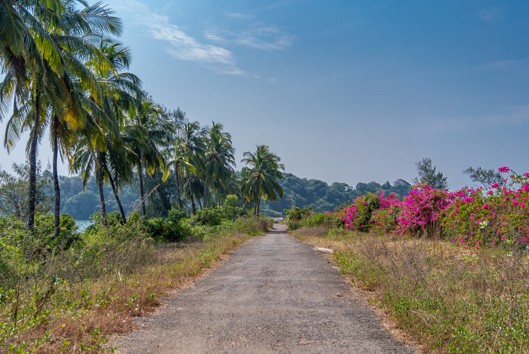 India 2014 - Goa 080.jpg